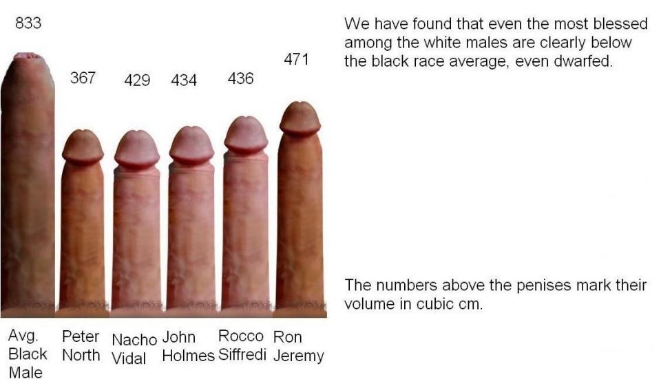 best of Dildo size average