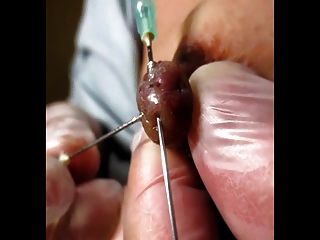 best of Needle play cock