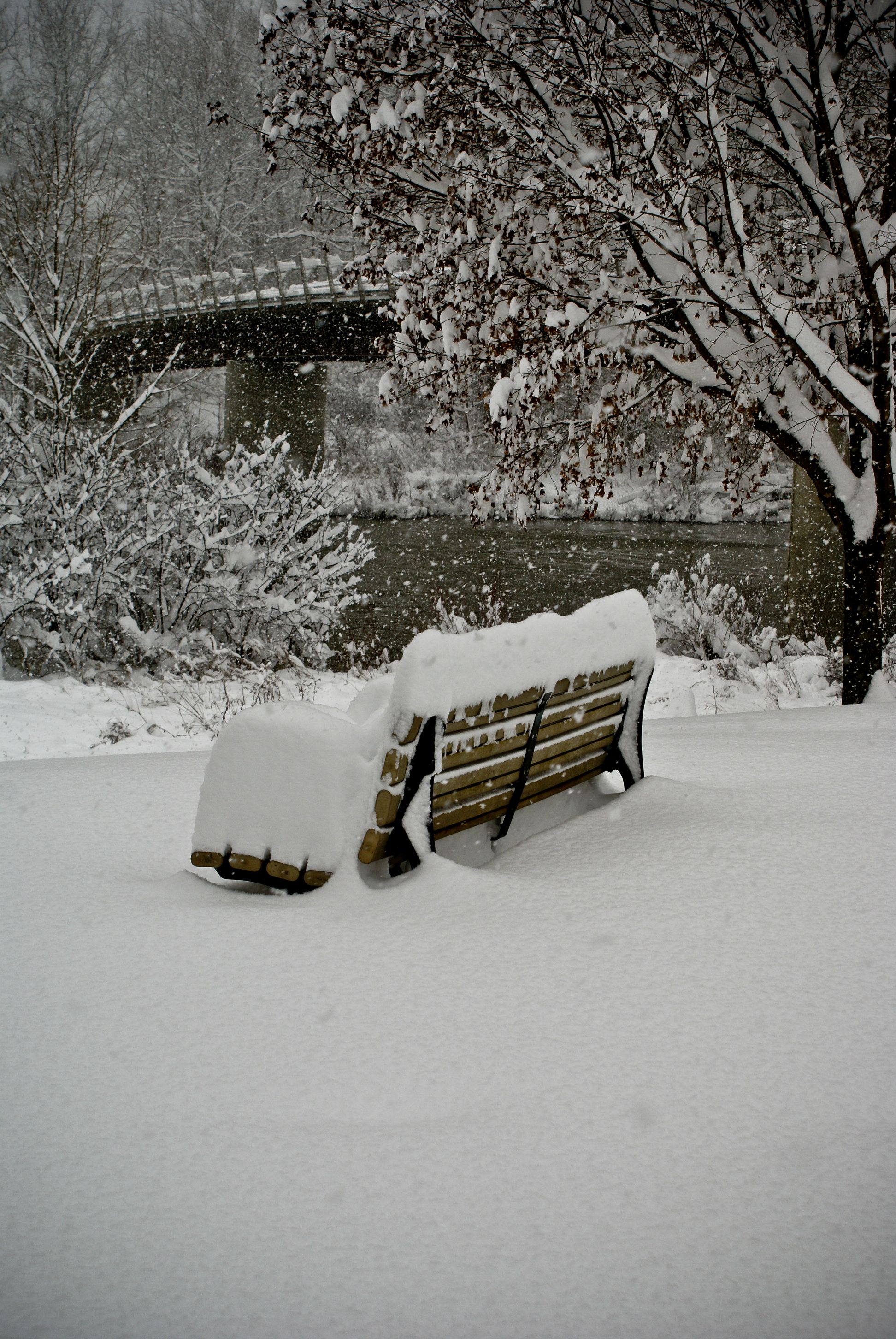 best of Snow canadian