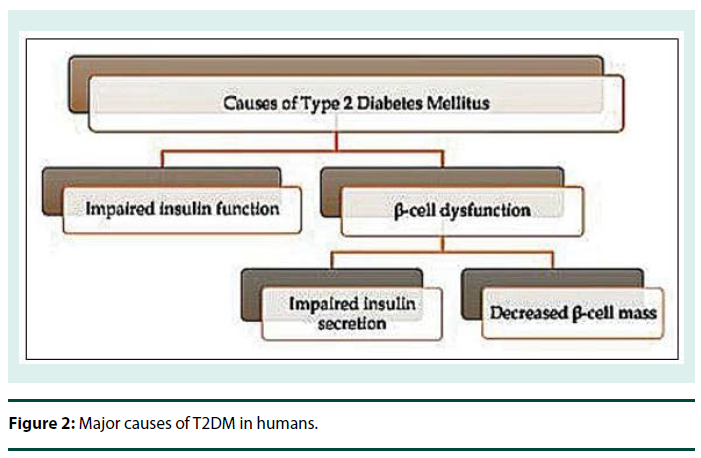 Mature onset diabetes mellitus