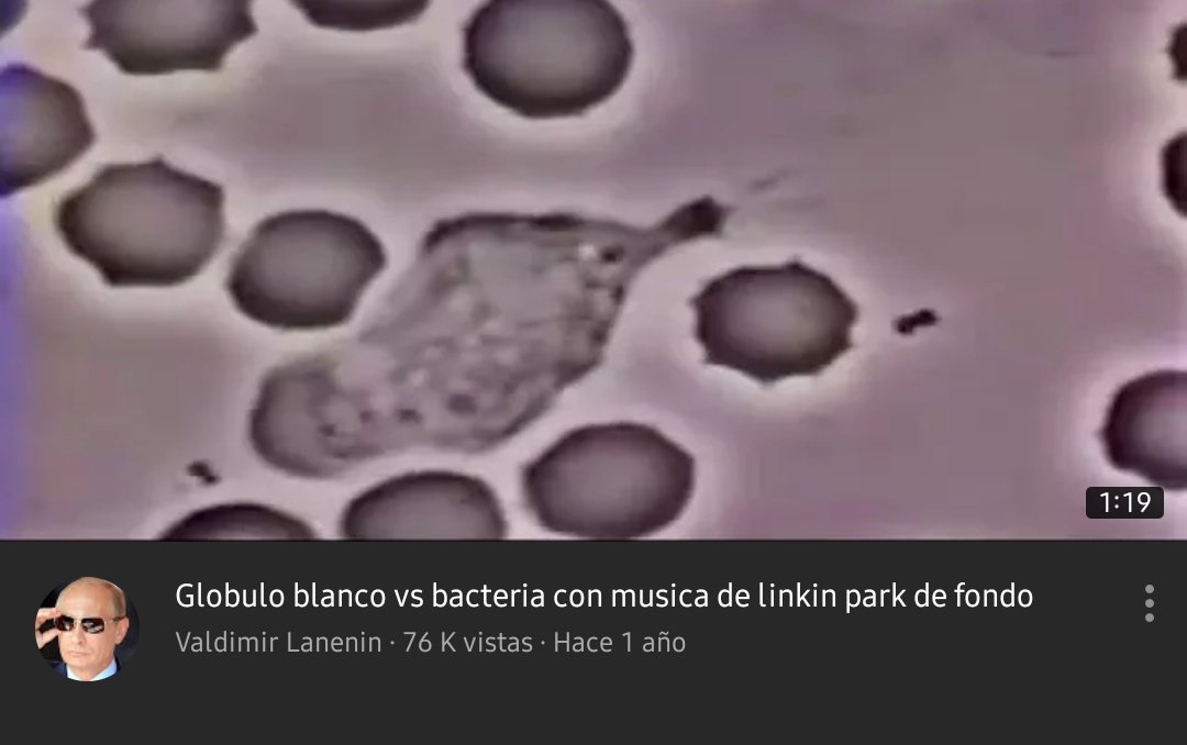 Globulo rojo bacteria musica linkin park