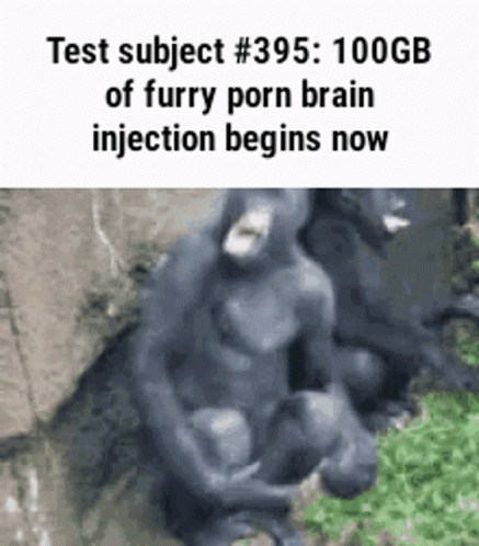 best of Part test subject
