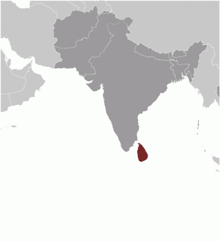 Moth reccomend lanka sinhala parliament fuck