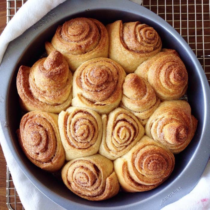 Baked cinnamon rolls boyfriend best friend