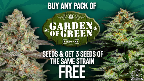 best of Weed seed ultra