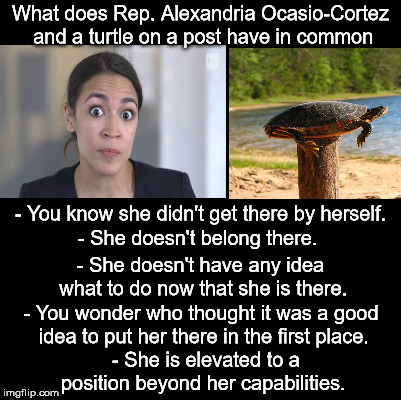 Alexandria ocasio cortez does whats necessary