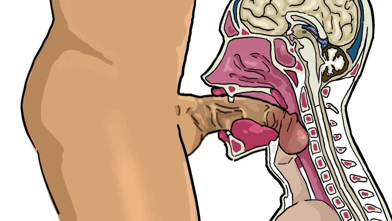 Dick photoshopped into cross section animation