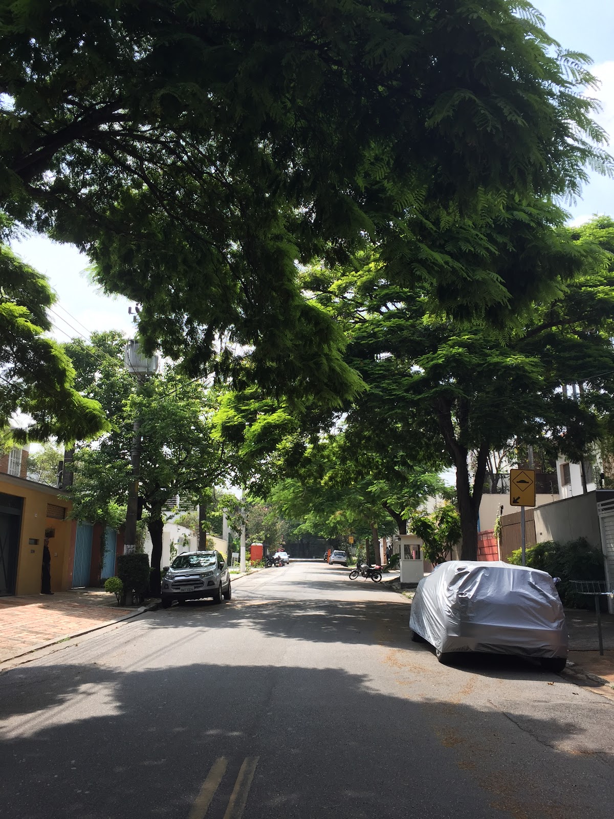 best of Busy along roadway strip dared girl