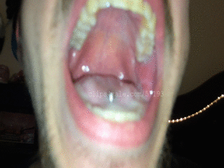 Vore food view from inside mouth